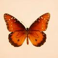 Oranje vlinder als symbool voor verandering en digitale transformatie.