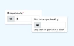 Eguide activity settings with fields for group size and the maximum number of tickets per booking.