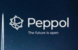 Peppol-logo met de slogan "The future is open" op een sterrenhemel achtergrond